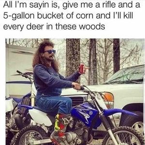 Meet your Posher, Hank